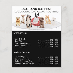 Black Dogs groomer Sittwalker Husdjurstjänsterbjud Flygblad