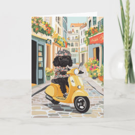 Black Doodle Riding Scooter European City Streets Kort