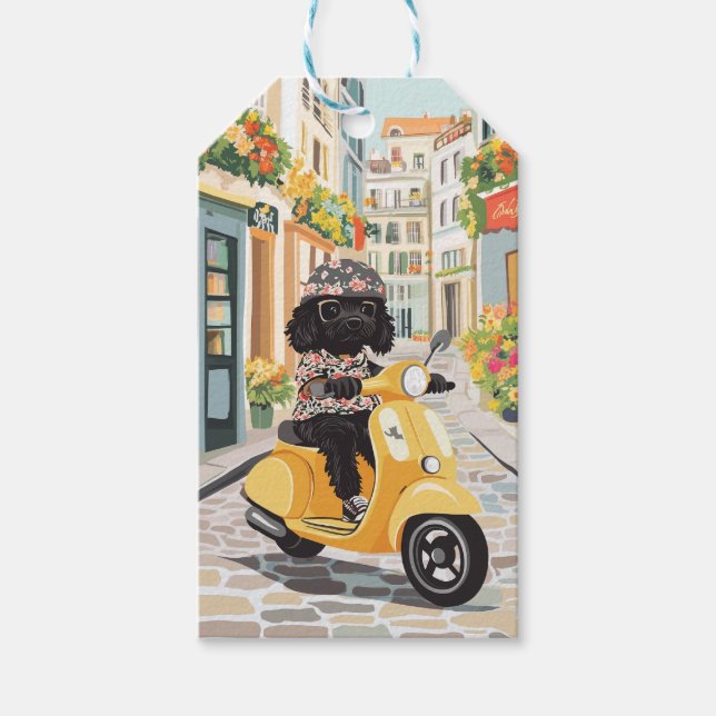 Black Doodle Riding Scooter European City Streets Presentetikett (Framsidan)