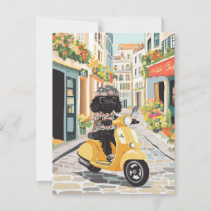 Black Doodle Riding Scooter European City Streets Vykort