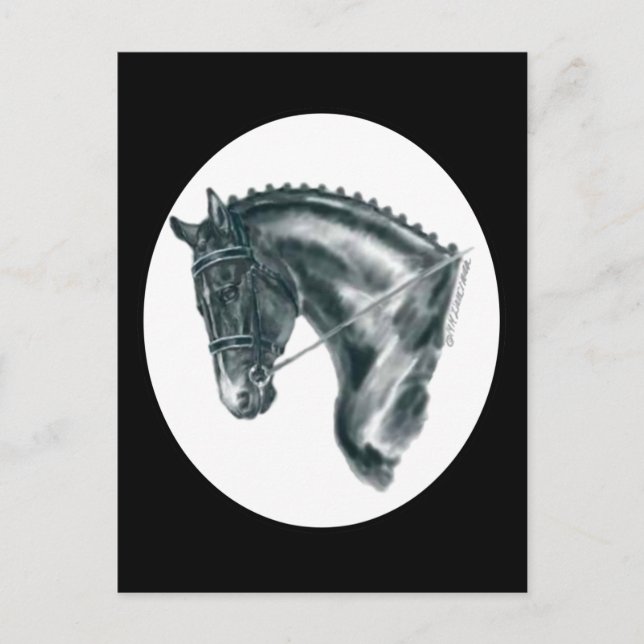 Black Dressage Horse Porträtt Vykort (Framsida)