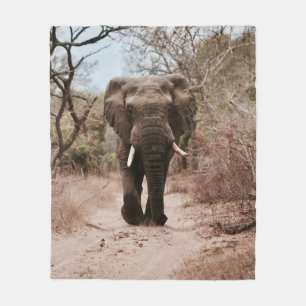 BLACK ELEPHANT WALKING PÅ BROWN SAND FLEECEFILT