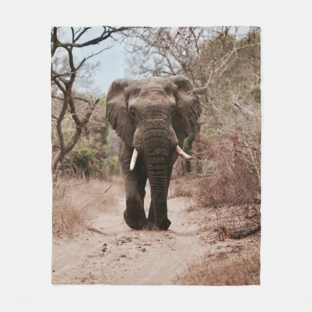 BLACK ELEPHANT WALKING PÅ BROWN SAND FLEECEFILT (Framsidan)