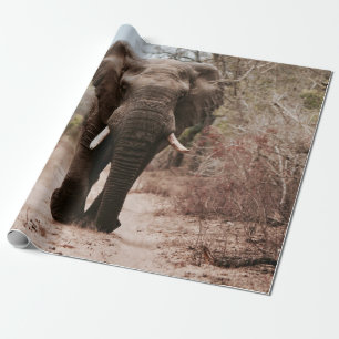 BLACK ELEPHANT WALKING PÅ BROWN SAND PRESENTPAPPER