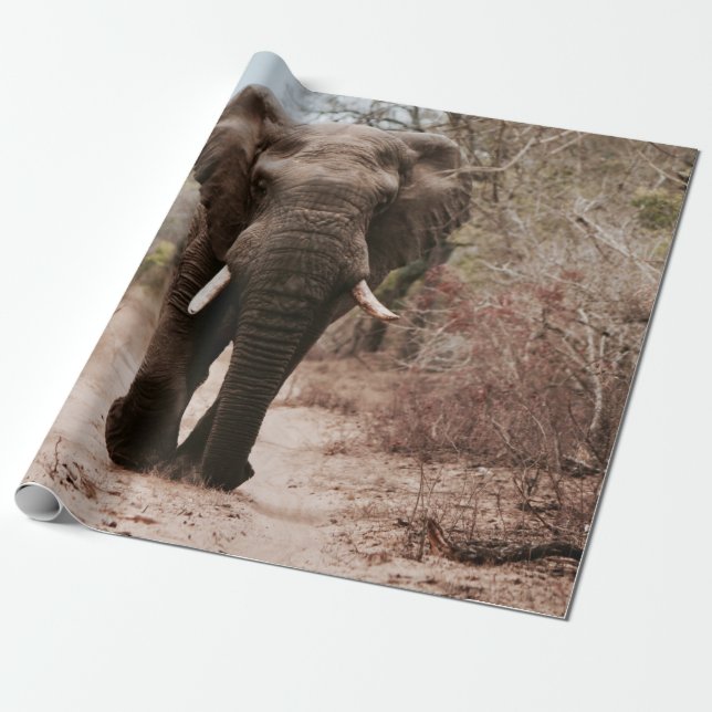 BLACK ELEPHANT WALKING PÅ BROWN SAND PRESENTPAPPER (Utrullad)
