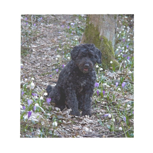 Black English Springer Spain Anteckningsblock (Framsida)
