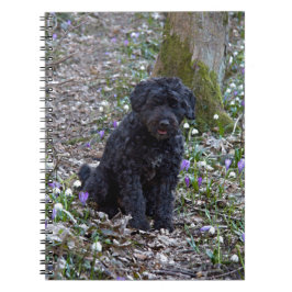 Black English Springer Spain Anteckningsbok