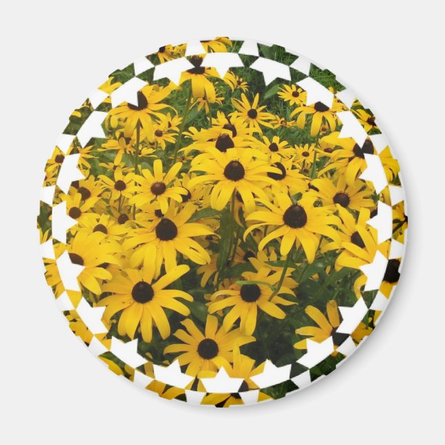 black-eyed-susan-6 magnet (Framsidan)