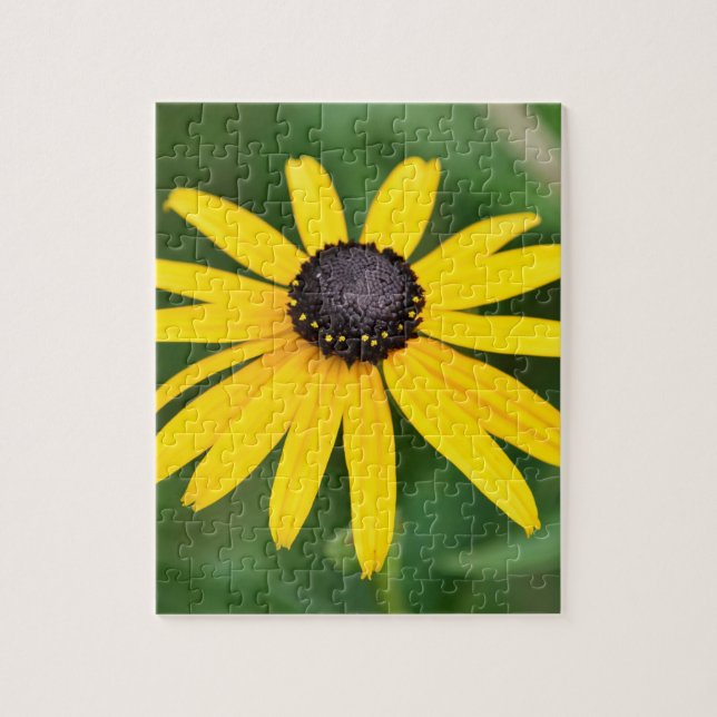 Black Eyed Susan - 8 x 10 110 pcs. Blommigt Puzzle Pussel (Vertikal)