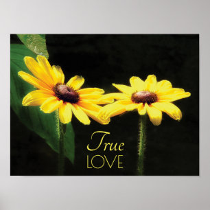 Black Eyed Susan Äkta kärlek Fine Art Poster