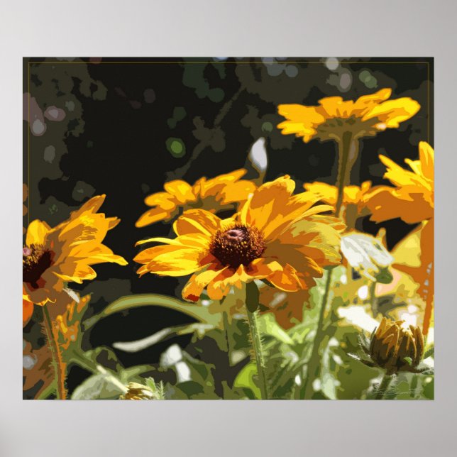 Black-Eyed-Susan Art Print -24x20 -andra storlekar Poster (Framsidan)