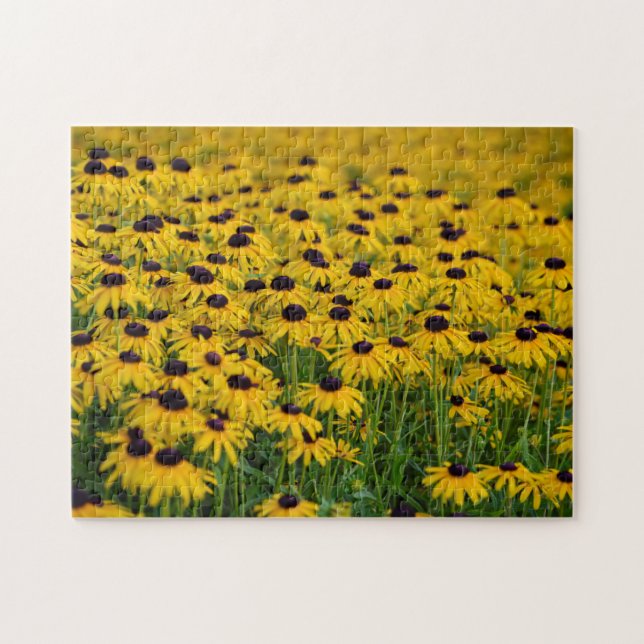 Black Eyed Susan - Blommigt Puzzle Pussel (Horisontell)
