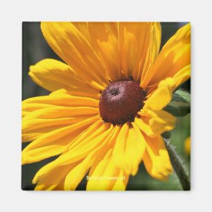 Black Eyed Susan Blomsterfotografi Magnet