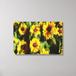 Black Eyed Susan Canvastryck