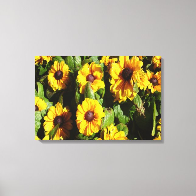 Black Eyed Susan Canvastryck (Framsida)