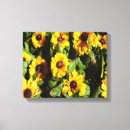 Black Eyed Susan Canvastryck