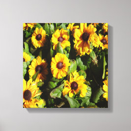 Black Eyed Susan Canvastryck