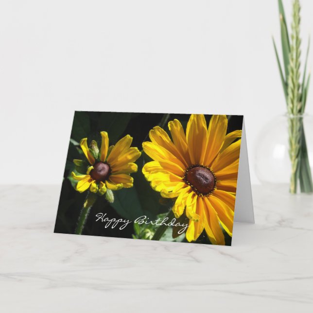 Black Eyed Susan Daisys Birthday Kort (Framsida)