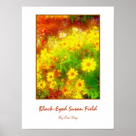 'Black-Eyed Susan Field'-affisch Poster