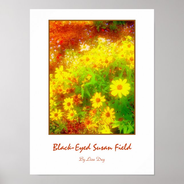 'Black-Eyed Susan Field'-affisch Poster (Framsidan)