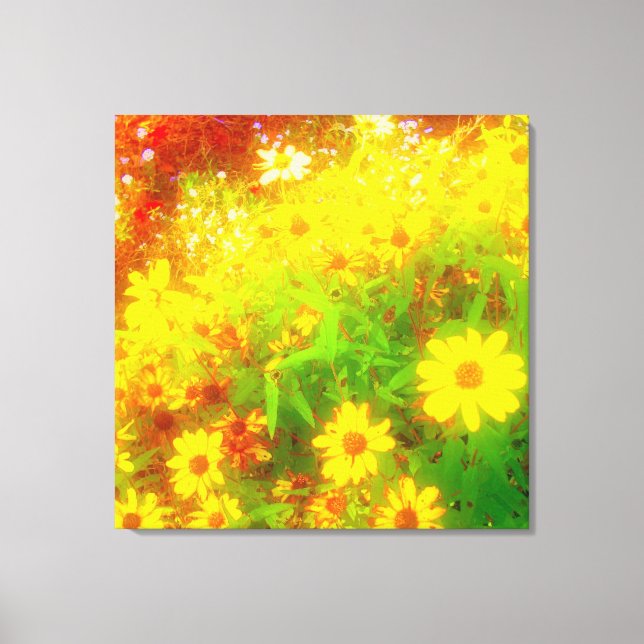'Black-Eyed Susan Field' Lindad tryck på canvas (Framsida)