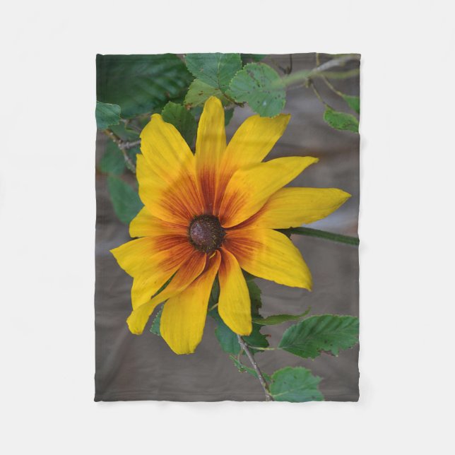 Black-Eyed Susan Fleecefilt (Framsidan)