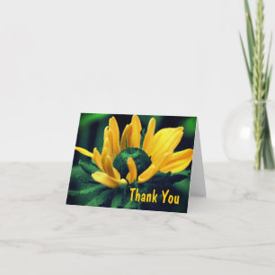 Black Eyed Susan Flower Abstrakt - tackkort