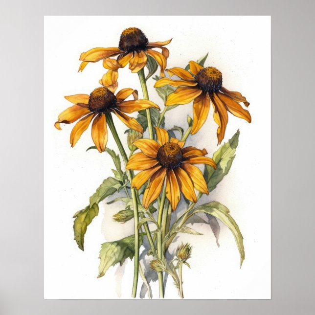 Black Eyed Susan Flower Art Print Poster (Framsidan)