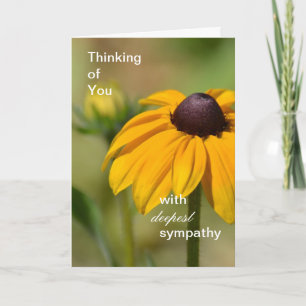 Black Eyed Susan Flower Deepest Sympathy Kort