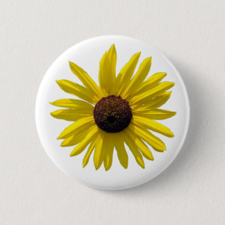 Black Eyed Susan Flower Knapp