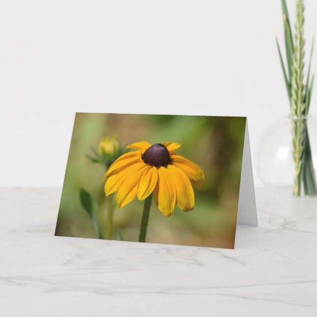 Black Eyed Susan Flower Kort (Framsida)