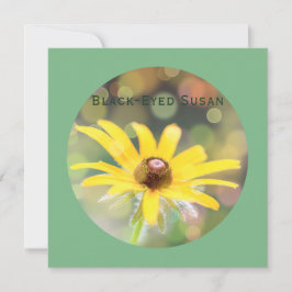 Black-Eyed Susan Flower på Mörk Sea Grönt Julkort
