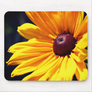 Black Eyed Susan Flower Petals Musmatta