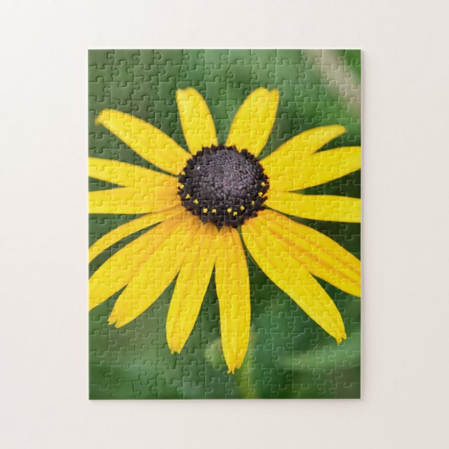 Black Eyed Susan - Flower Puzzle Pussel (Vertikal)