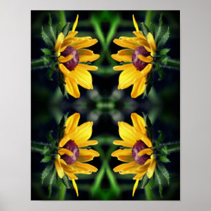Black Eyed Susan Flower Unvikt Unvikt Abstrakt Poster