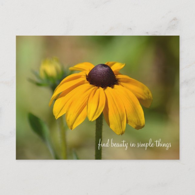 Black Eyed Susan Flower Vykort (Framsida)