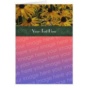 Black Eyed Susan Flowers Ditt fotokort Hälsningskort