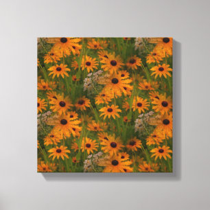 Black Eyed Susan Flowers Multiplied Canvastryck