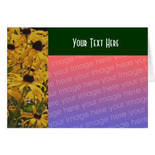 Black Eyed Susan Flowers Photo Card Hälsningskort