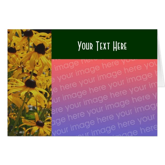 Black Eyed Susan Flowers Photo Card Hälsningskort (Framsidan Horizontal)