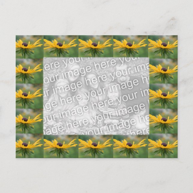 Black Eyed Susan Flowers Photo Vykort (Framsida)