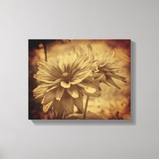 Black Eyed Susan Flowers Sepia Åldras Vintage Canvastryck