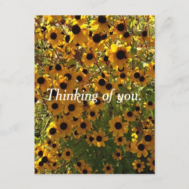 Black Eyed Susan Flowers tänker på dig Postcards Vykort (Framsida)