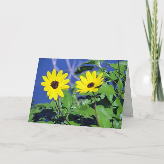 Black Eyed Susan Greeting Card Kort (Framsida)