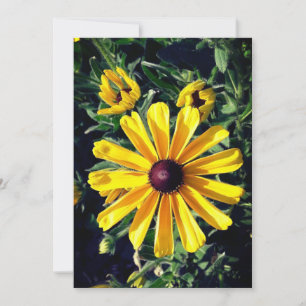 Black-Eyed Susan Gult Flower Kort
