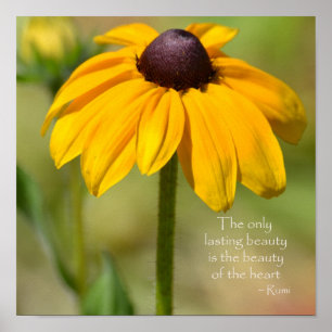 Black Eyed Susan Gult Flower Rumi, citat Poster
