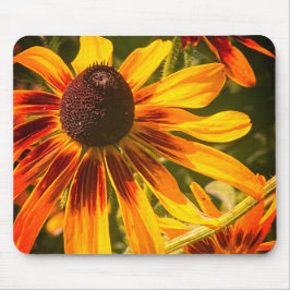 ’Black-Eyed Susan’ Mousepad Musmatta