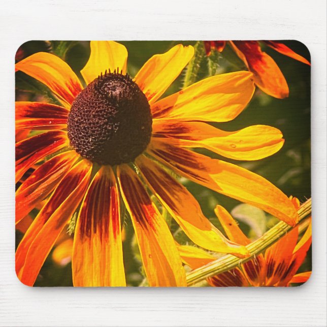 ’Black-Eyed Susan’ Mousepad Musmatta (Framsidan)