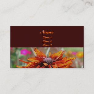 Black Eyed Susan Nature Photography Affärskort Visitkort