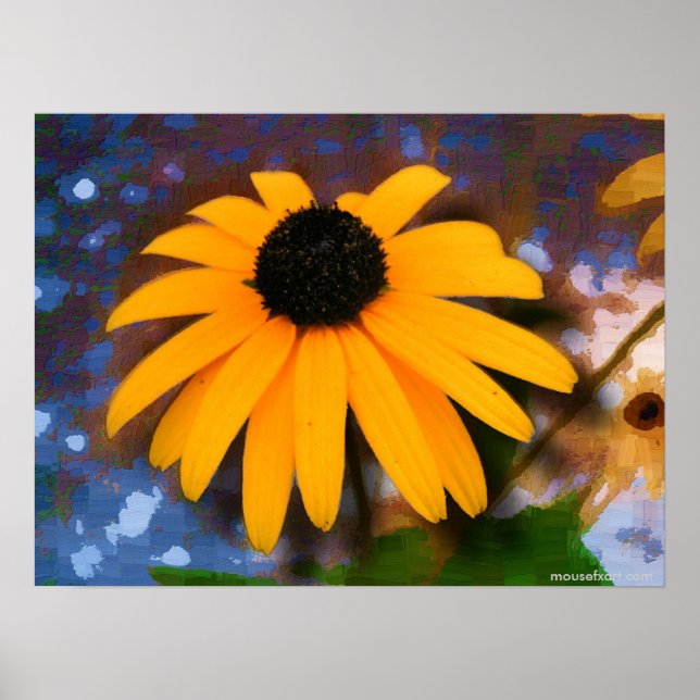 Black Eyed Susan Poster (Framsidan)